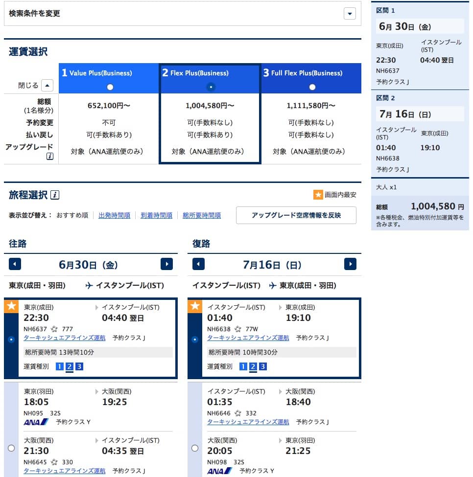 ビジネスクラス航空券（東京―イスタンブール）3