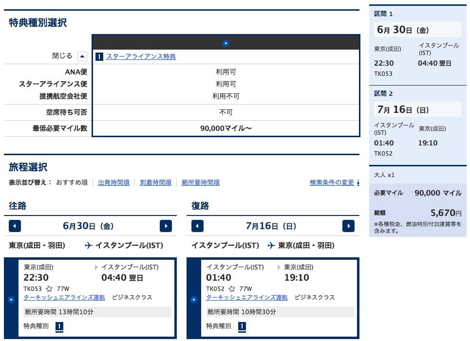 特典航空券（東京―イスタンブール）ビジネスクラス