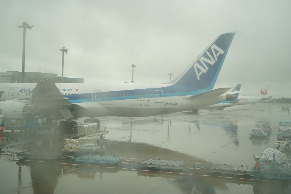 ANA-NH806(BKK->NRT)-成田空港駐機場