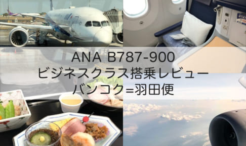 NH878（ANA：バンコク=羽田便）-ビジネスクラス