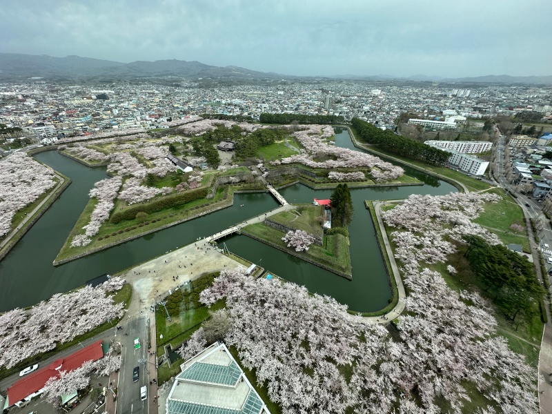 五稜郭タワー展望台からの景色