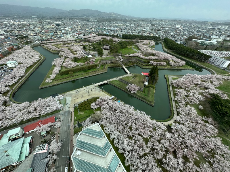 五稜郭タワー展望台からの景色