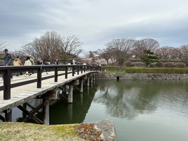 桜に彩られた五稜郭跡を散策