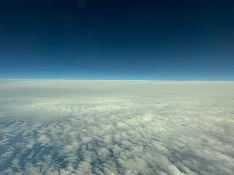 エバー航空（大阪（関西）=台北（桃園）便:BR131 B787-1000）-着陸