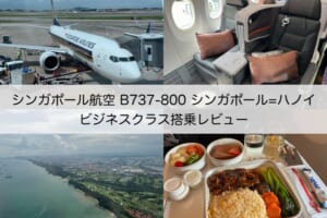 シンガポール航空（シンガポール-ハノイ便:SQ194 B737-800）-搭乗レビュー