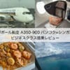 シンガポール航空（バンコク-シンガポール便:SQ705 A350-900）-着陸