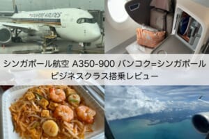 シンガポール航空（バンコク-シンガポール便:SQ705 A350-900）-着陸