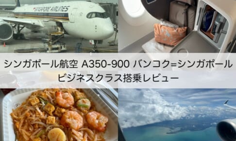 シンガポール航空（バンコク-シンガポール便:SQ705 A350-900）-着陸