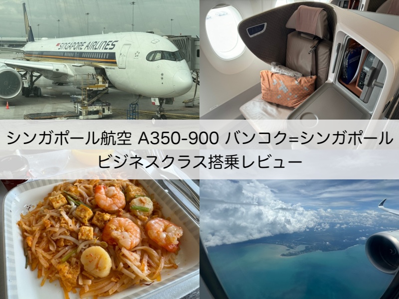 シンガポール航空（バンコク-シンガポール便:SQ705 A350-900）-着陸