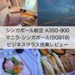 【シンガポール航空A350-900】マニラ=シンガポール便ビジネスクラス搭乗レビュー｜ディナータイムで食事メニューが充実したフライト