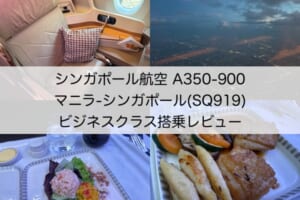 シンガポール航空（マニラ-シンガポール便:SQ919 A350-900）-ビジネスクラス搭乗レビュー