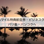 【ANAマイル特典航空券】遅めの夏休みで初のバリ島＆バンコクへ｜旅程紹介とインドネシア入国手続き