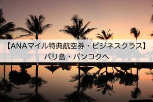 ANAマイルでの特典航空券-バリ島＆バンコクへ