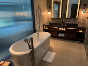 ラグーナ,ラグジュアリーコレクションリゾート&スパ,ヌサドゥア,バリ(The Laguna, A Luxury Collection Resort & Spa, Nusa Dua, Bali)-客室内バスルーム