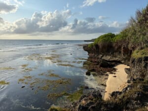 ラグーナ,ラグジュアリーコレクションリゾート&スパ,ヌサドゥア,バリ(The Laguna, A Luxury Collection Resort & Spa, Nusa Dua, Bali)-ホテル周辺を朝散歩