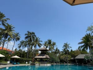 ラグーナ,ラグジュアリーコレクションリゾート&スパ,ヌサドゥア,バリ(The Laguna, A Luxury Collection Resort & Spa, Nusa Dua, Bali)-屋外プール