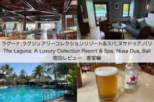 ラグーナ,ラグジュアリーコレクションリゾート&スパ,ヌサドゥア,バリ(The Laguna, A Luxury Collection Resort & Spa, Nusa Dua, Bali)-客室レビュー