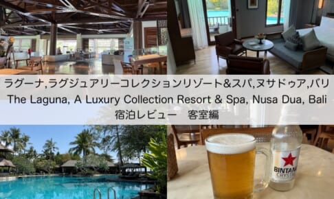 ラグーナ,ラグジュアリーコレクションリゾート&スパ,ヌサドゥア,バリ(The Laguna, A Luxury Collection Resort & Spa, Nusa Dua, Bali)-客室レビュー