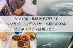 シンガポール航空（シンガポール=デンパサール便:SQ934 B787-10）-レビュー