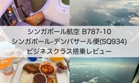 シンガポール航空（シンガポール=デンパサール便:SQ934 B787-10）-レビュー