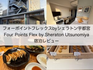 フォーポイントフレックスbyシェラトン宇都宮(Four Points Flex by Sheraton Utsunomiya)ー宿泊レビュー