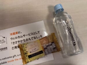 ドーミーイン仙台ANNEX(Dormy Inn Sendai Annex)ー客室内の雰囲気