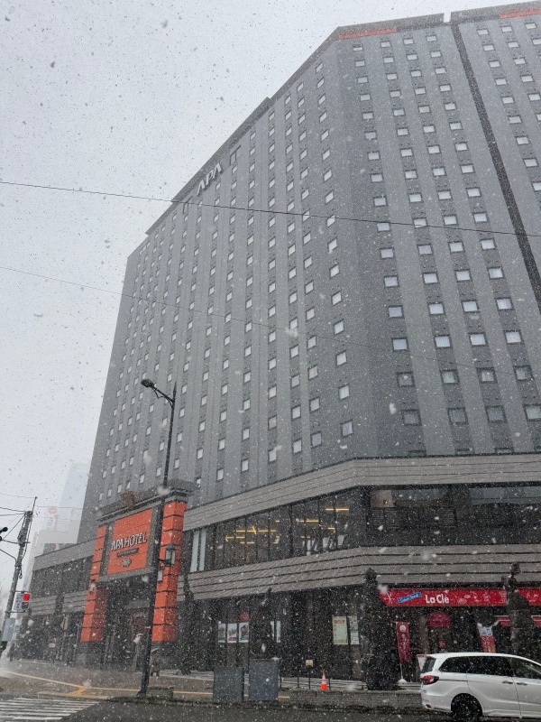 アパホテル&リゾート〈新潟駅前大通〉(Apa Hotel Resort Niigata Ekimae Odori)ー外観