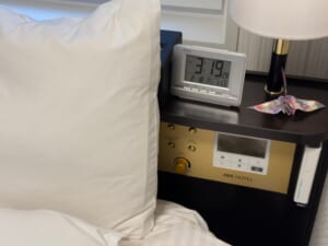 アパホテル＆リゾート〈新潟駅前大通〉(Apa Hotel Resort Niigata Ekimae Odori)ー客室内の雰囲気