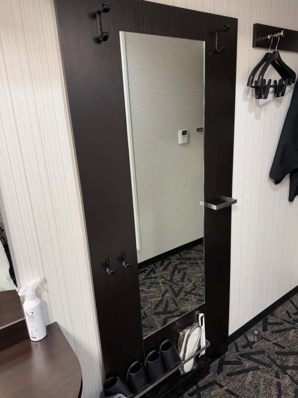 アパホテル&リゾート〈新潟駅前大通〉(Apa Hotel Resort Niigata Ekimae Odori)ー客室内の雰囲気
