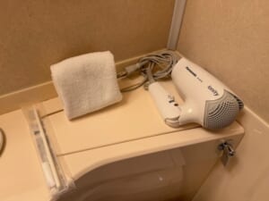ホテルグローバルビュー新潟(Hotel Global View Niigata)ー客室内バスルーム