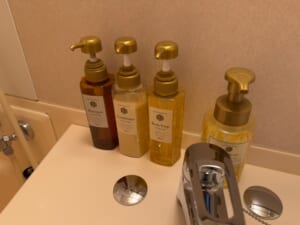 ホテルグローバルビュー新潟(Hotel Global View Niigata)ー客室内バスルーム