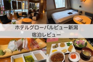 ホテルグローバルビュー新潟(Hotel Global View Niigata)ー宿泊レビュー