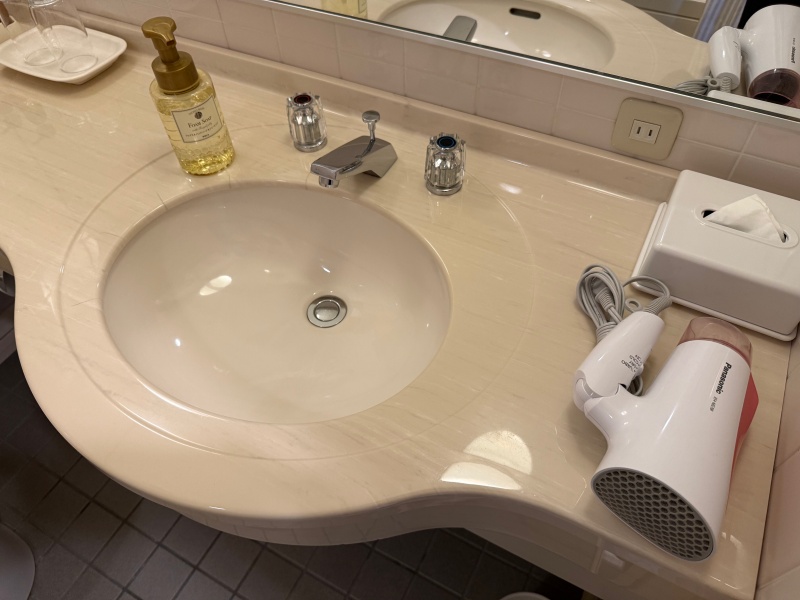 ベルビューガーデンホテル関西空港(Bellevue Garden Hotel KIX)ー客室内バスルーム