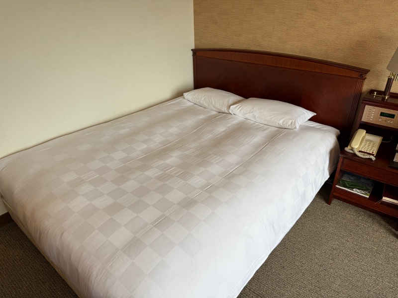 ベルビューガーデンホテル関西空港(Bellevue Garden Hotel KIX)ー客室内の雰囲気(エグゼクティブダブル)