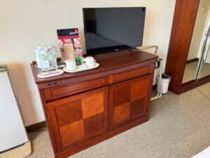 ベルビューガーデンホテル関西空港(Bellevue Garden Hotel KIX)ー客室内の雰囲気(エグゼクティブダブル)
