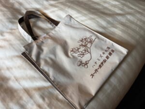 スーパーホテル新横浜(SUPER HOTEL SHINYOKOHAMA)ー客室（スーパールーム）内の雰囲気