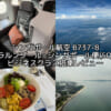シンガポール航空（クアラルンプール=シンガポール便:SQ103 B737-8）-ビジネスクラス搭乗レビュー