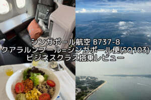 シンガポール航空（クアラルンプール=シンガポール便:SQ103 B737-8）-ビジネスクラス搭乗レビュー