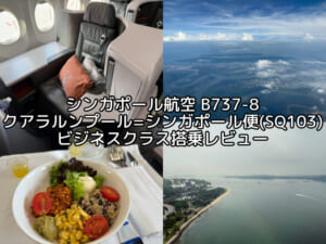 シンガポール航空(クアラルンプール=シンガポール便:SQ103 B737-8)-ビジネスクラス搭乗レビュー