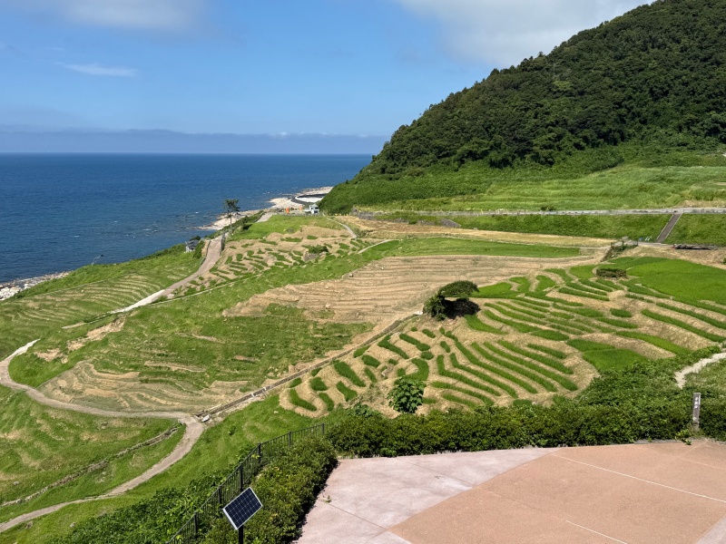 白米千枚田@能登輪島