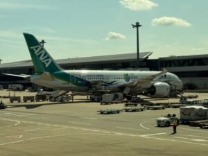 ANA（バンコク=成田便:NH806 B787-900）-着陸