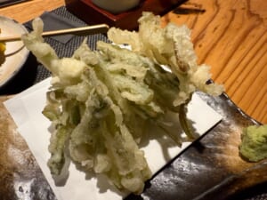 だいだらぼっち(長野)