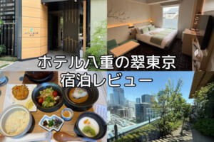 ホテル八重の翠東京(Hotel Yaenomidori)ー宿泊レビュー