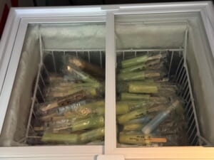 ベッセルホテルカンパーナ名古屋(Vessel Hotel Campana Nagoya)ー湯上がりアイス