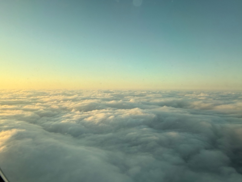エバー航空(成田=台北便:BR197 B787-1000)-着陸