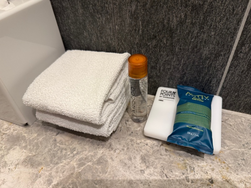 フォーポイントバイシェラトン林口(Four Points by Sheraton Linkou)ー客室内バスルーム