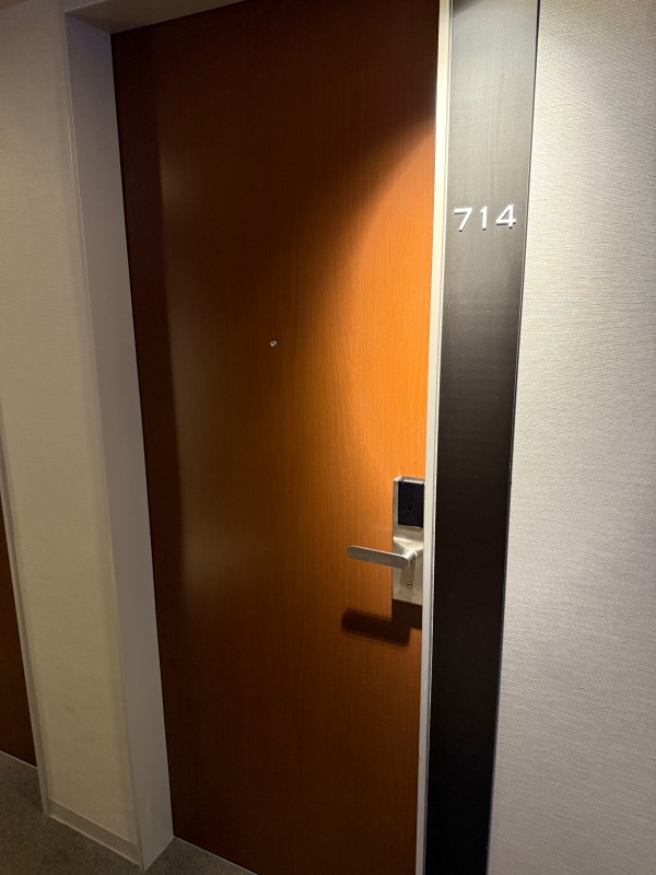 名古屋金山ホテル(Nagoya Kanayama Hotel)ー客室内の雰囲気