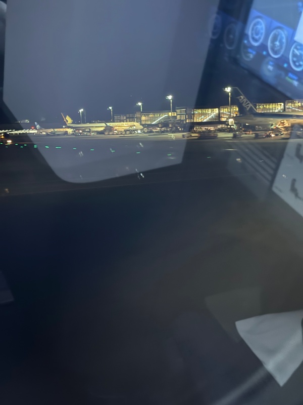 ANA(バンコク=羽田便:NH878 B787-900)-着陸
