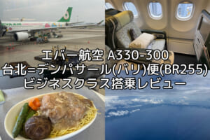 エバー航空（台北=デンパサール(バリ)便:BR255 A330-300）-搭乗レビュー