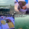 シンガポール航空（デンパサール(バリ)=シンガポール便:SQ935 B787-10）-搭乗レビュー